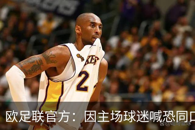 欧足联官方：因主场球迷喊恐同口号，对里昂罚款2万欧